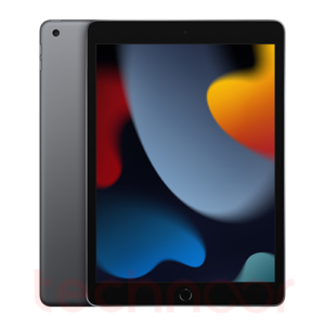 Apple iPad 2021 (9th Generation) 10.2-Inch 256GB WiFi + Cellular with Facetime